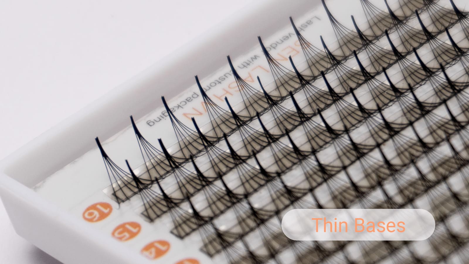 Thin Bases