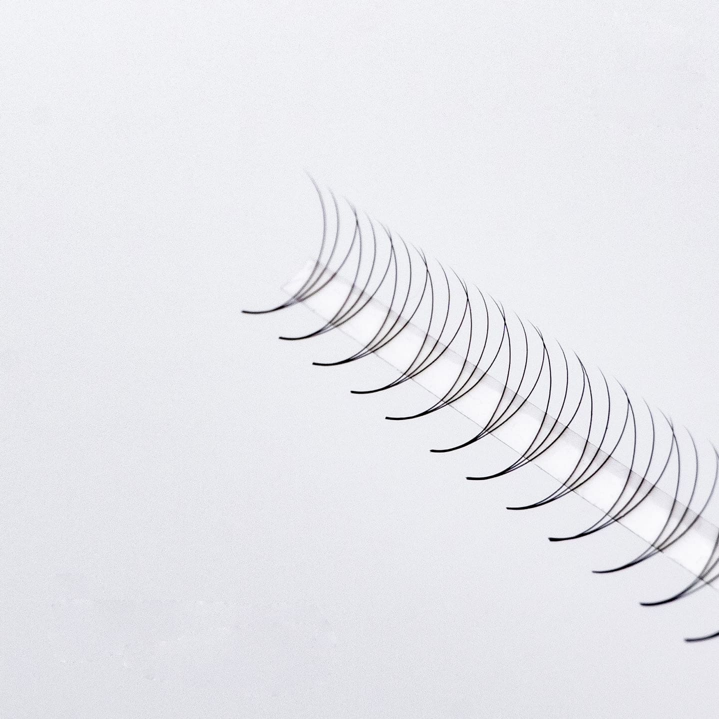 promade rapid fans - acrylic box - single length - 500 fans - senlashfactory (2)