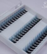 senlashfactory. ombre promade fan lashes (2)