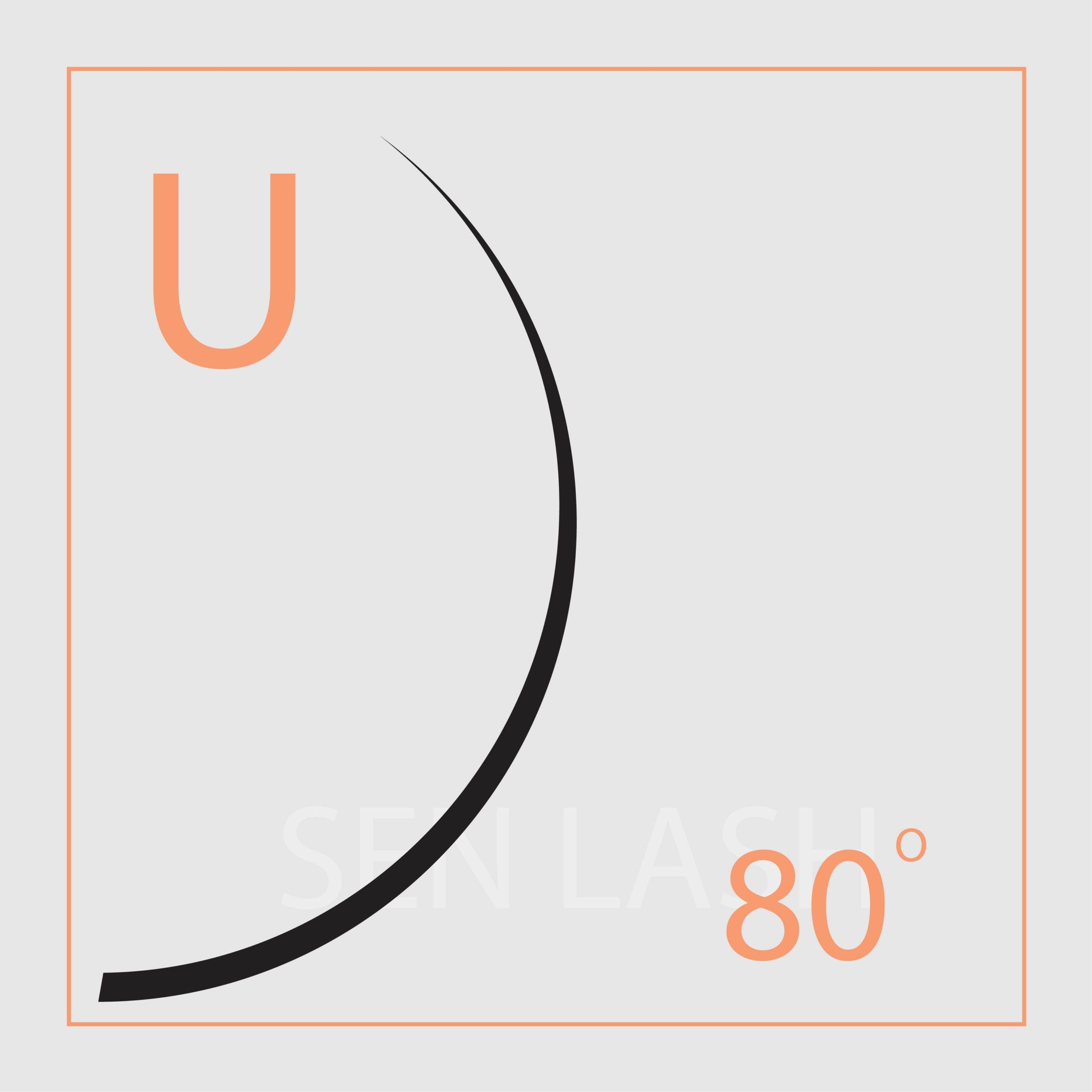 6. U curl or DD curl lashes