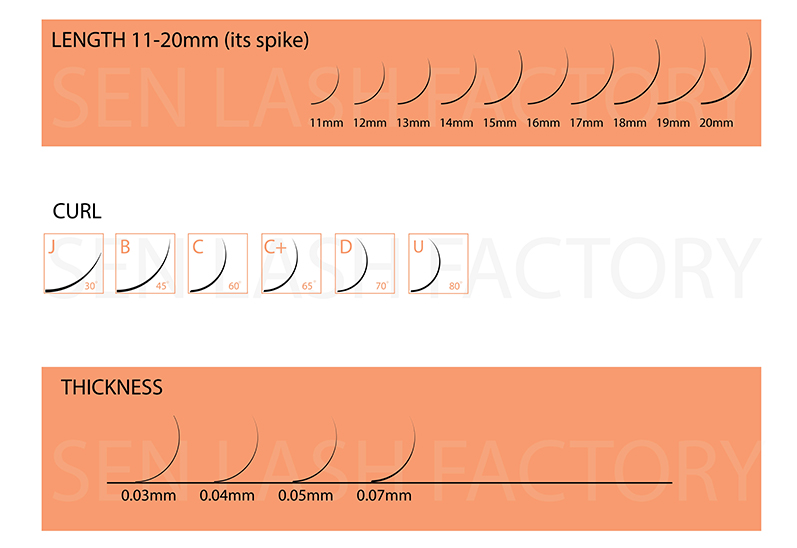 Specifications of Wispy lashes - as requested