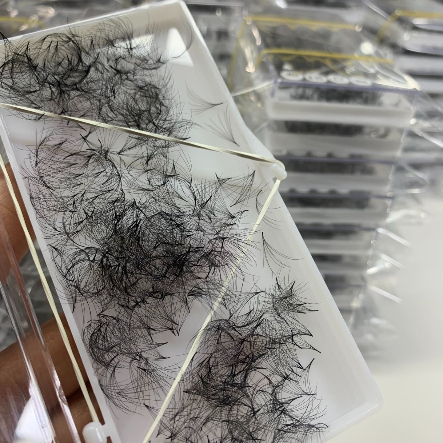 sen lash factory vietnam. 8D promade fans camelia lashes (1)