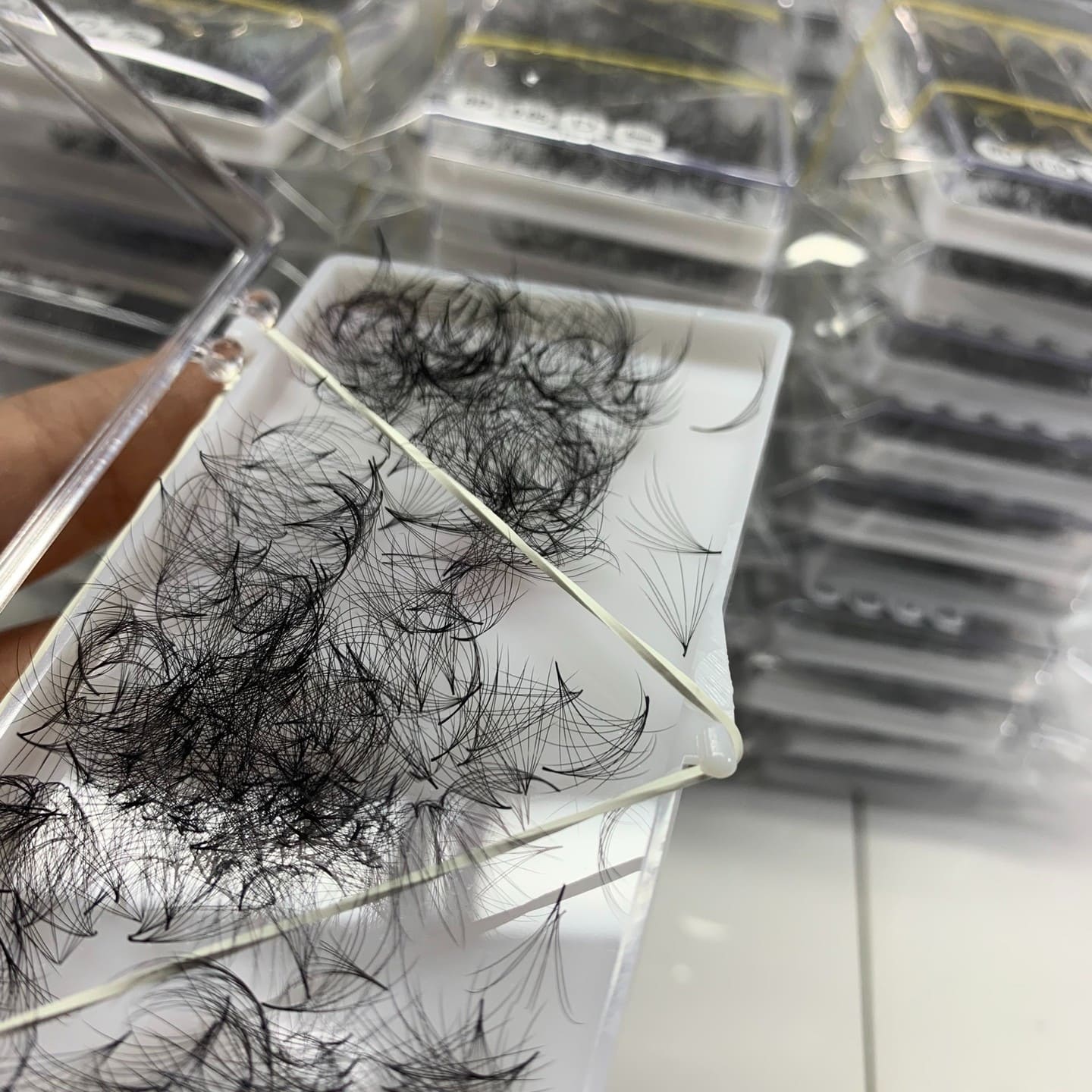 sen lash factory vietnam. 8D promade fans camelia lashes (2)