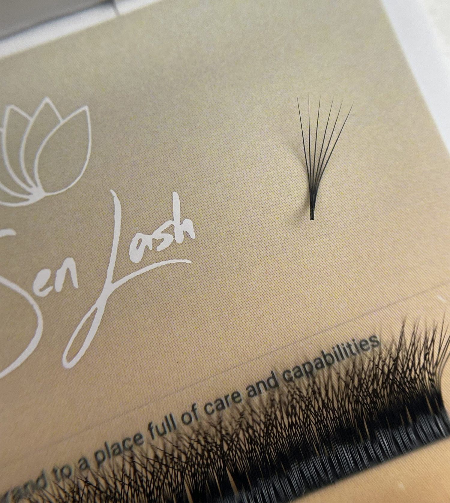 ZeroTime Promade - perfect lash fan